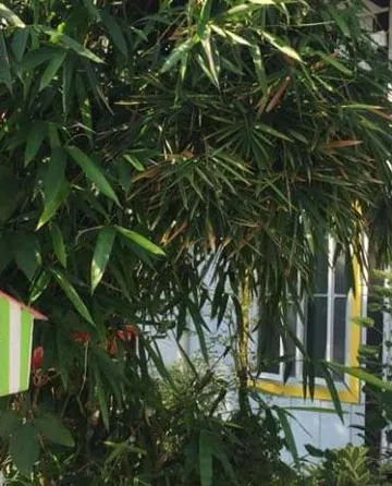 รูปภาพของสุขใจเฮ้าส์