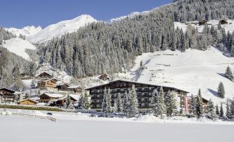 Alpenhof St Jakob