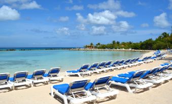 a row of blue and white lounge chairs are set up on a sandy beach near the ocean at Renaissance Wind Creek Aruba Resort
