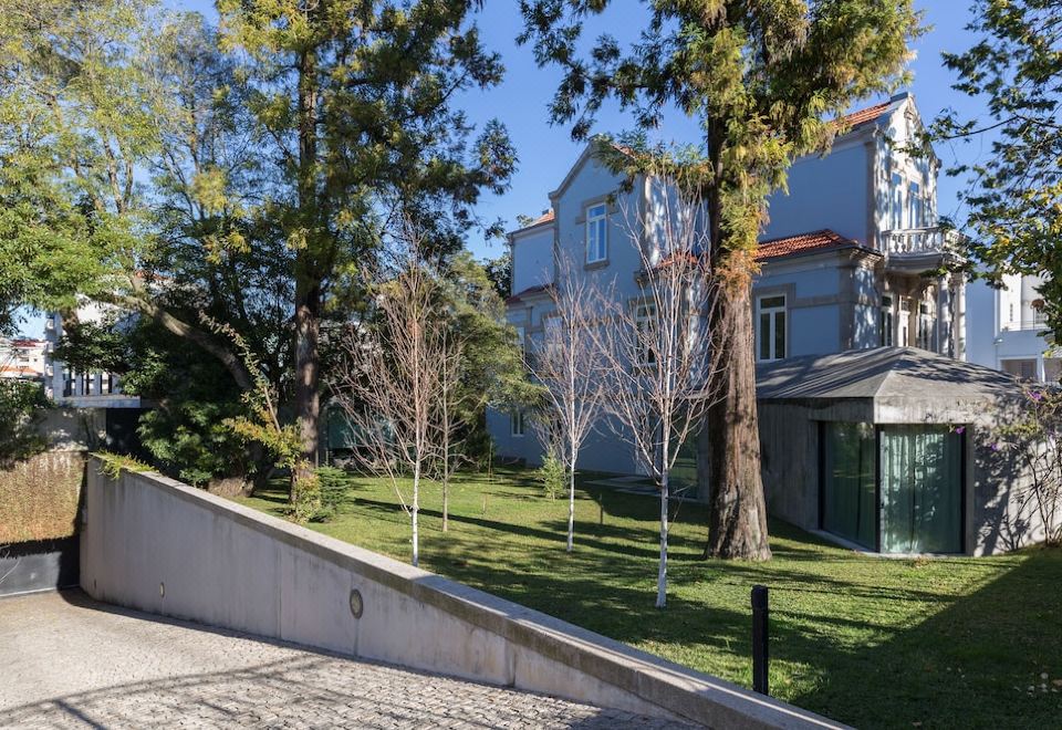 The Blue Guest House