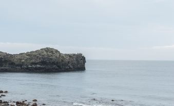 Seogwipo Olle Hotel Seven (Hotel Olle Seven)