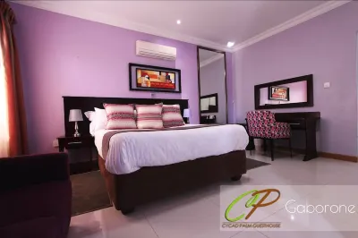 Cycad Palm Boutique Guest House