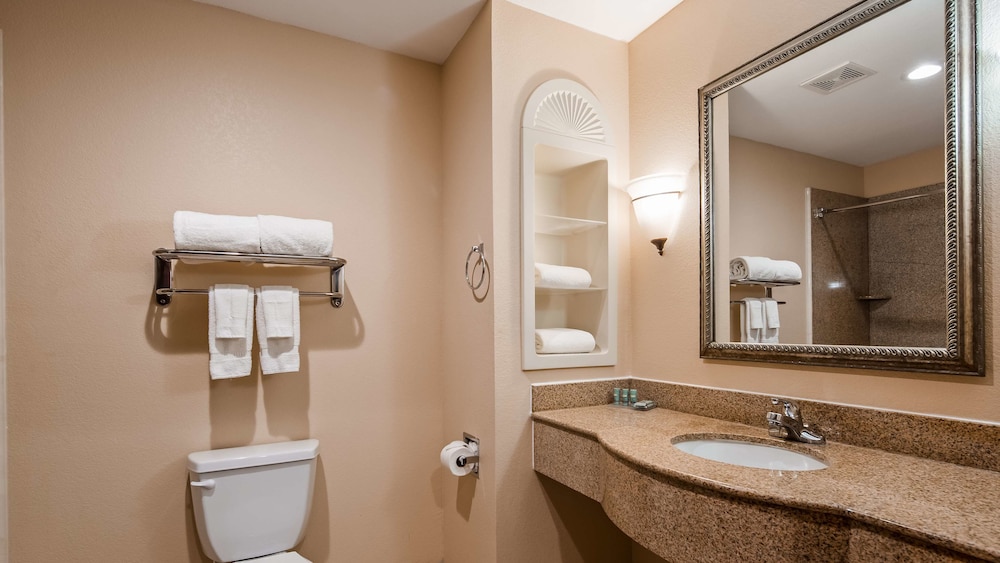 Best Western South Plains Inn & Suites