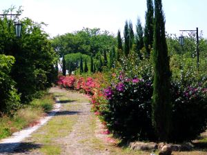 Hacienda San Nicolas de las Fuentes