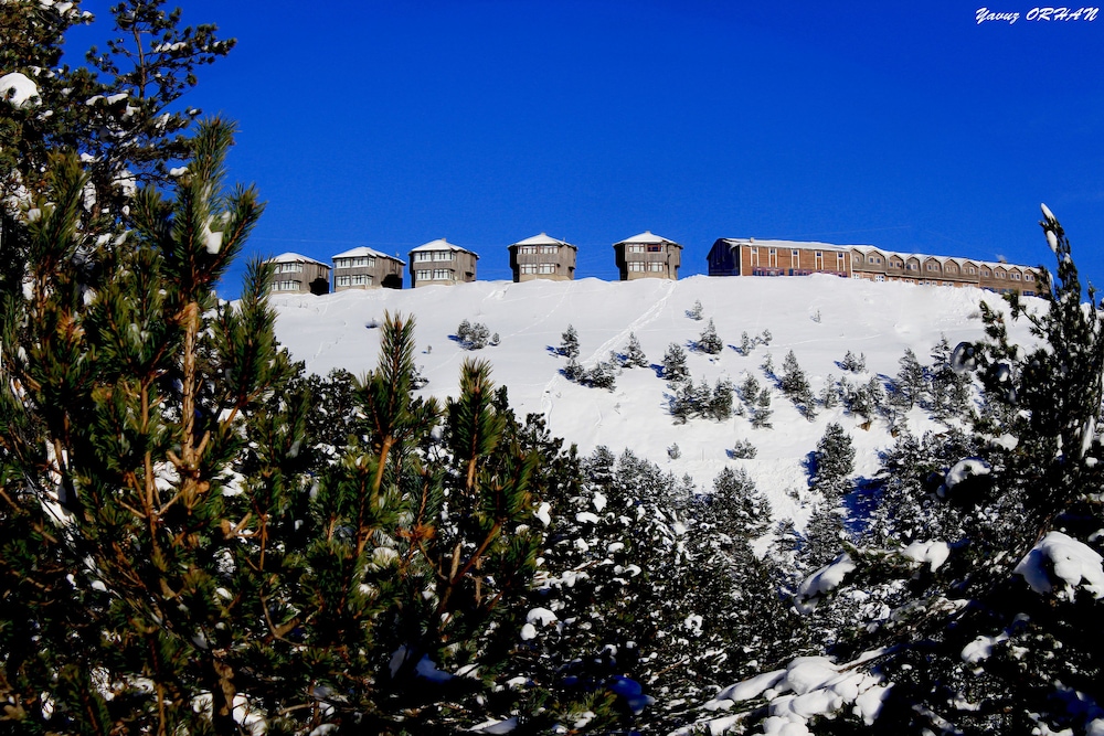 Zigana Gumuskayak Yaylakent (Zigana Gumuskayak Yaylakent Hotel)