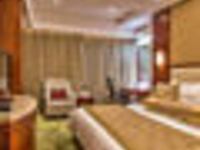 中信宁波国际大酒店 - 高级双人房