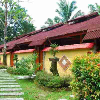 麗娜峇里島度假村 Hotel Exterior
