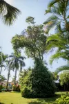 Bambu Resort Hotels in Retalhuleu