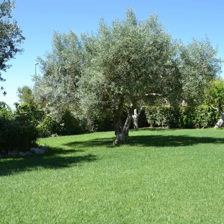 B&B Due Fontane