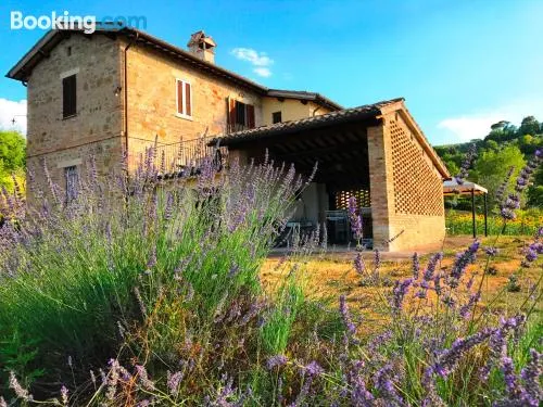 佛得科里納烏姆布拉公寓