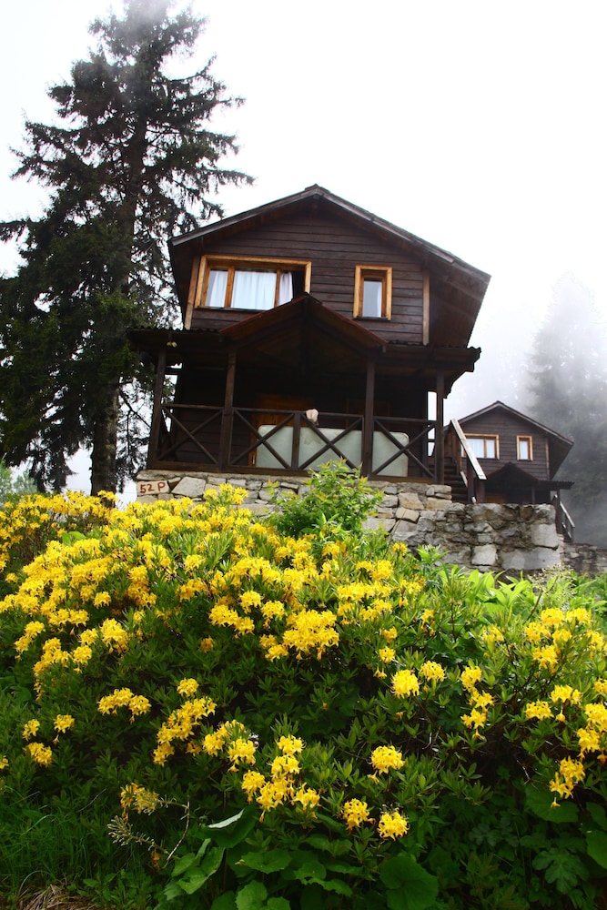 Zitas Otel Zigana Yayla Tatil Koyu