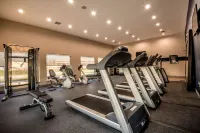 Hampton Inn & Suites Dallas-The Colony - Gym