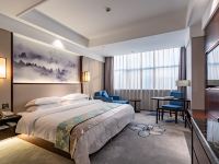 杭州高扬国际大酒店 - 豪华大床房
