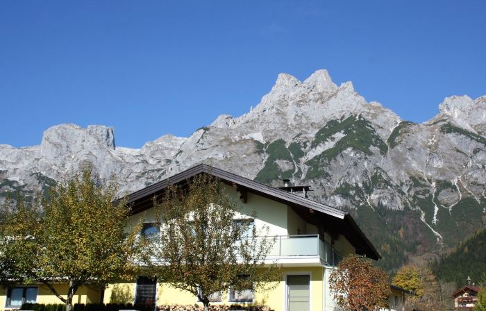 Rosi