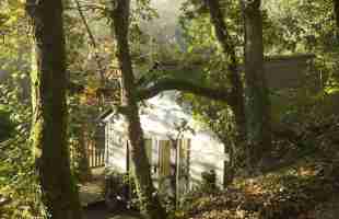 Latest The Cabin At Wrinklers Wood Map Address Nearest Station Airport 22 Trip Com