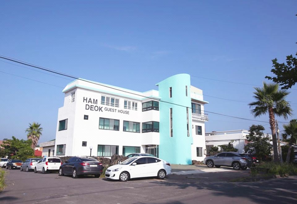 Hamdeok Guesthouse 후기, 가격 2024 제주 호텔 추천 | 트립닷컴