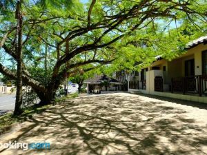 St Lucia Palms