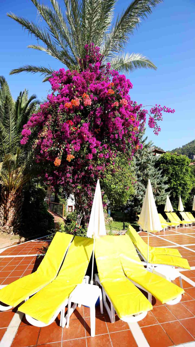 Alize Hotel Oludeniz - All Inclusive