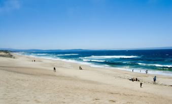 Best Western Marina State Beach