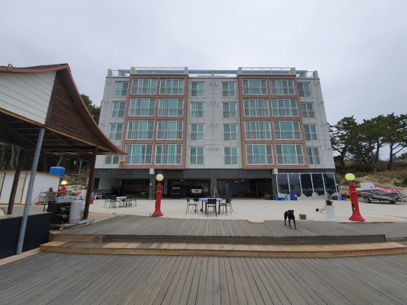Pohang DMZ Pension 호텔 후기, 예약 포항 호텔 추천 | 트립닷컴
