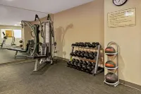 La Quinta Inn & Suites by Wyndham Detroit Metro Airport - ジム