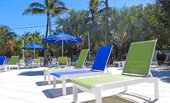 a tropical outdoor setting with blue and green lounge chairs , umbrellas , and a swimming pool surrounded by palm trees at Mangroves