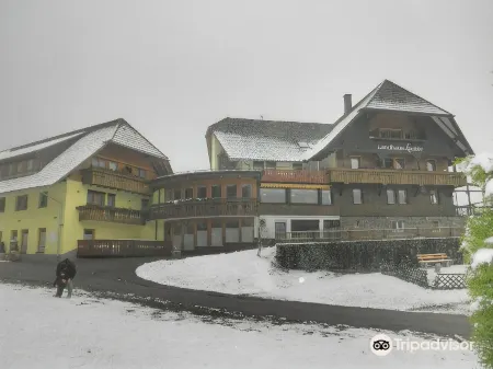 Landhaus Lauble Отели в г. Шенкенцелль