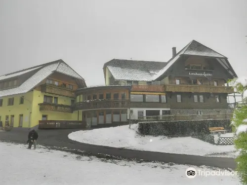 Landhaus Lauble Hotels in Hornberg