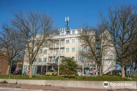 Hotel Mosaico Отели в г. Lido Adriano