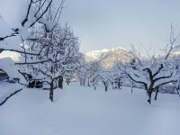 Untererhof Hotels in Fügenberg