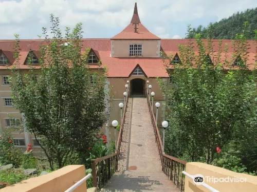 Toshali Royal View ,S H I M L A