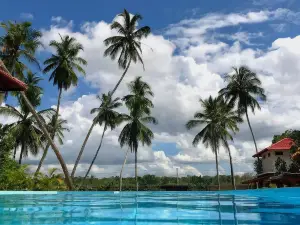 Green Parrot Beach Resort