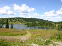 Skeisvegen