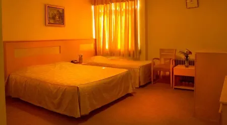 Shiraz Arg Hotel Отели рядом с достопримечательностью «Крепость Керим-хан»