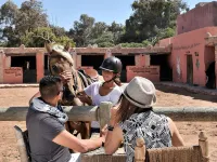Hotel le Golf d'Essaouira & Spa Hotel in zona CTM Essaouira