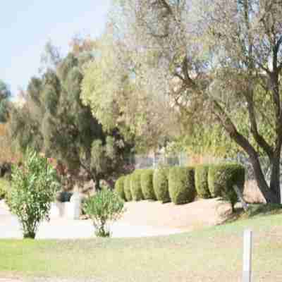 Yellow Alvor Garden - All Inclusive Hotel Exterior