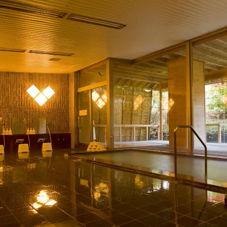 Fuji-View Hotel