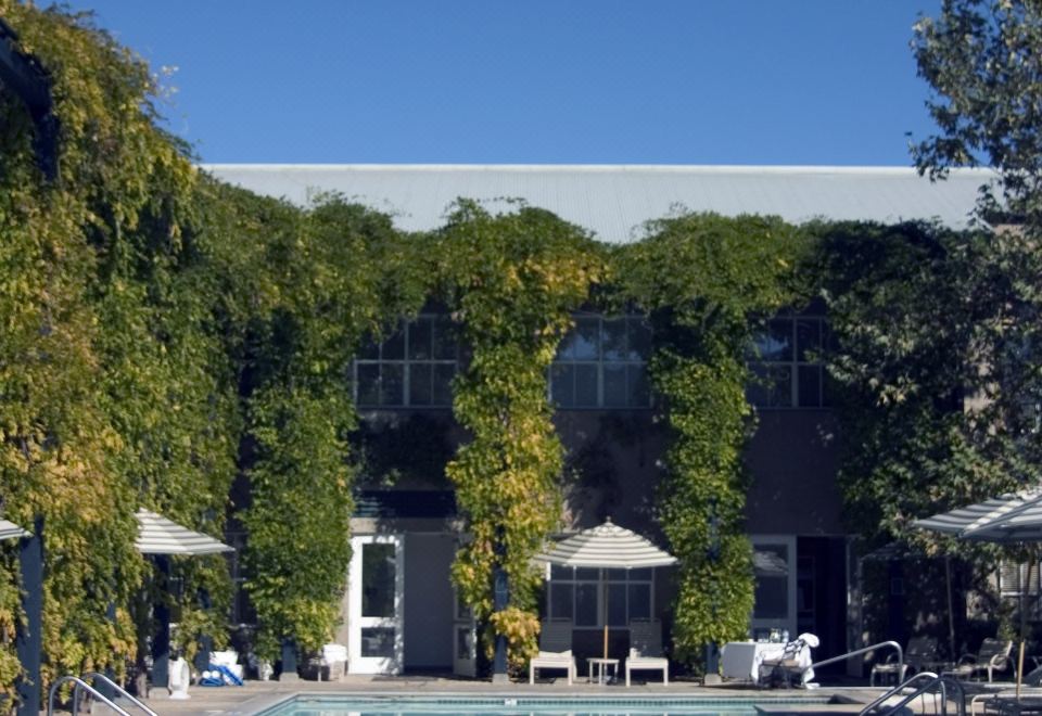 a large outdoor pool surrounded by trees , with several lounge chairs and umbrellas placed around it at Southbridge Napa Valley