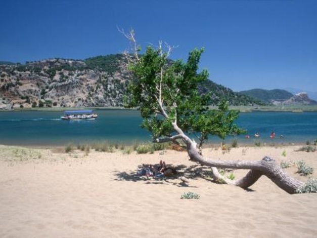 Dalyan Hotel Palmyra - Special Class