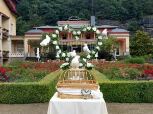 Parkhotel Bad Schandau Mit Spa