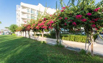 a row of white buildings with pink flowers blooming on them , under a clear blue sky at Falcon Hotel