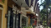 Lola's Lodge