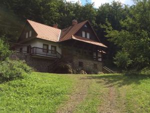 Villa Szalamandra - az Erdőszéle