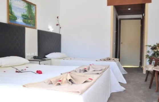 慕斯提斯帝京酒店