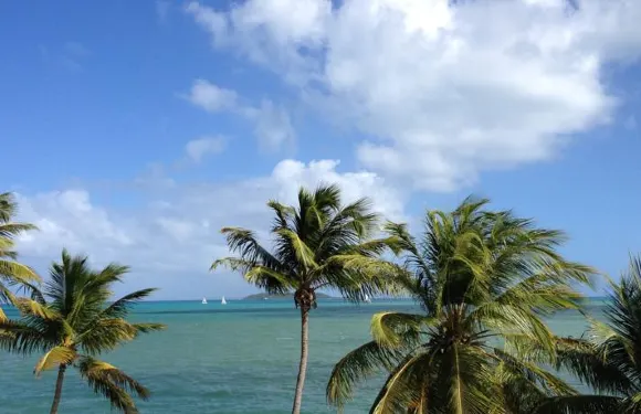 瑪瑞那拉奈斯公寓