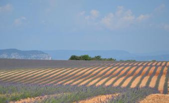 Les Terrasses de Valensole