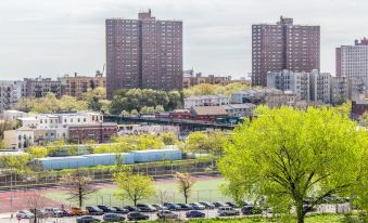 Umbrella Hotel Bronx