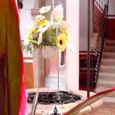 Hotel Reyna Soledad Others