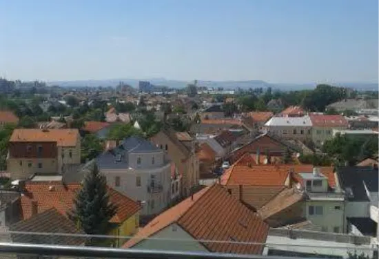 奧帕克市哈樂斯中心公寓酒店