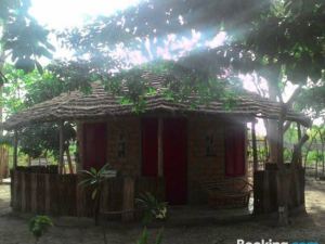 Evergreen Eco Lodge Retreat